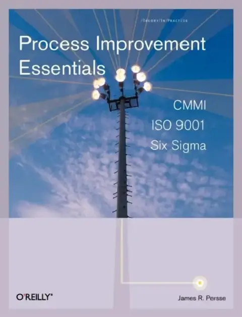 Cover of Process Improvement Essentials