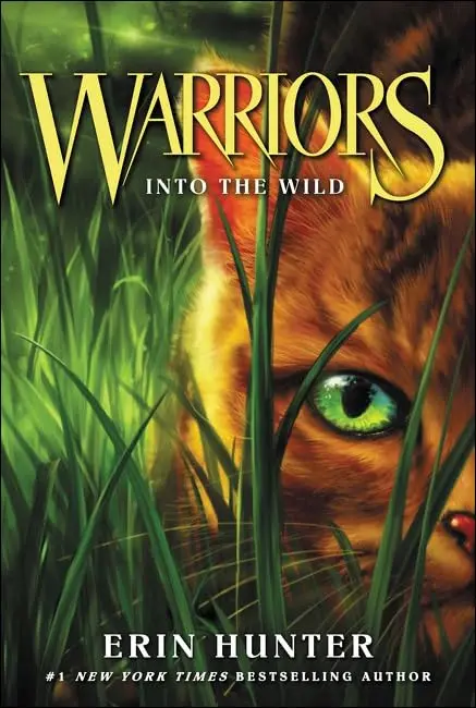 Cover of Into the Wild