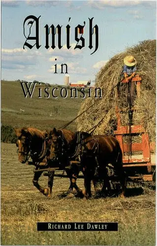Cover of Amish in Wisconsin