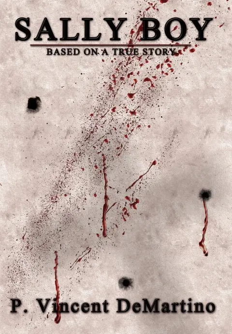Cover of Sally Boy