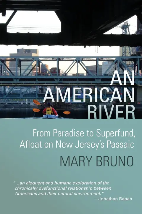 Cover of An American River