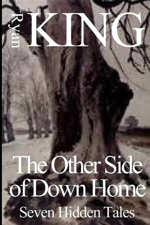 Cover of Other Side of Down Home