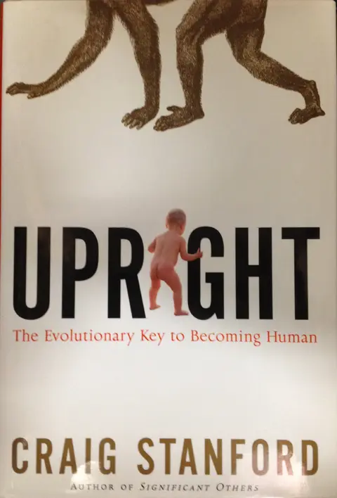 Cover of Upright