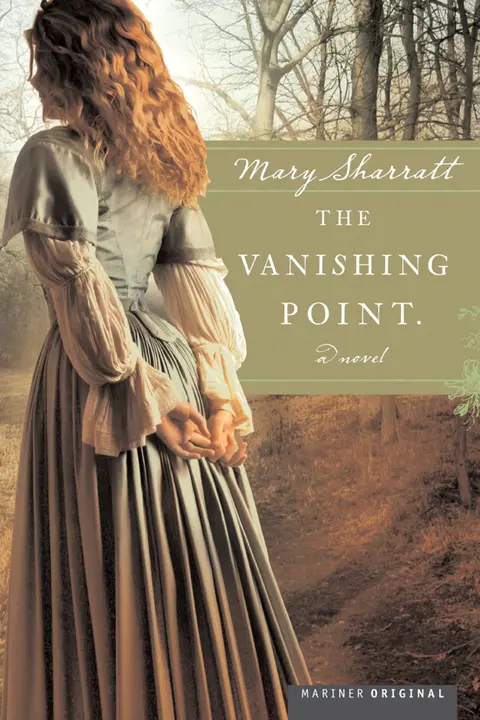 Cover of The Vanishing Point