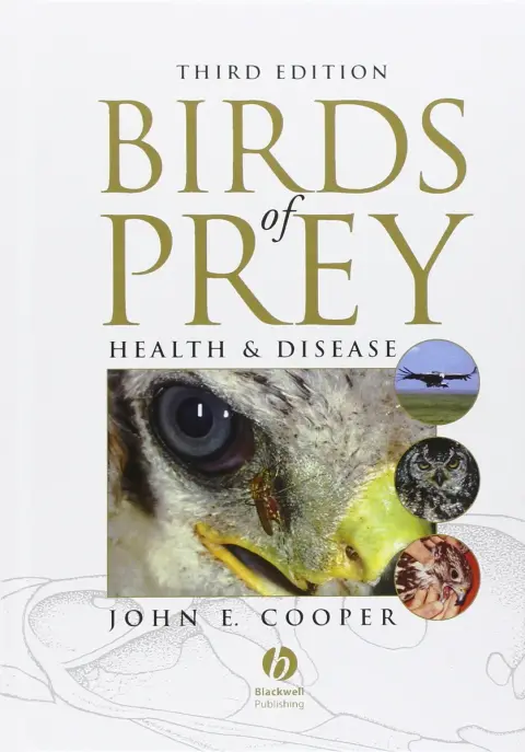 Cover of Birds of Prey