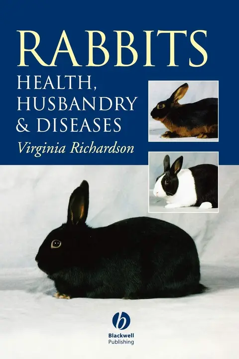 Cover of Rabbits