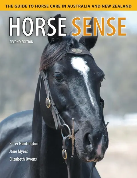 Cover of Horse Sense