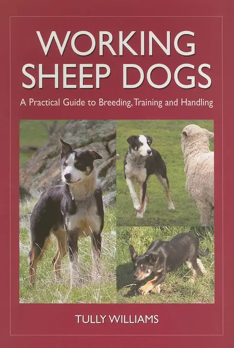 Cover of Working Sheep Dogs