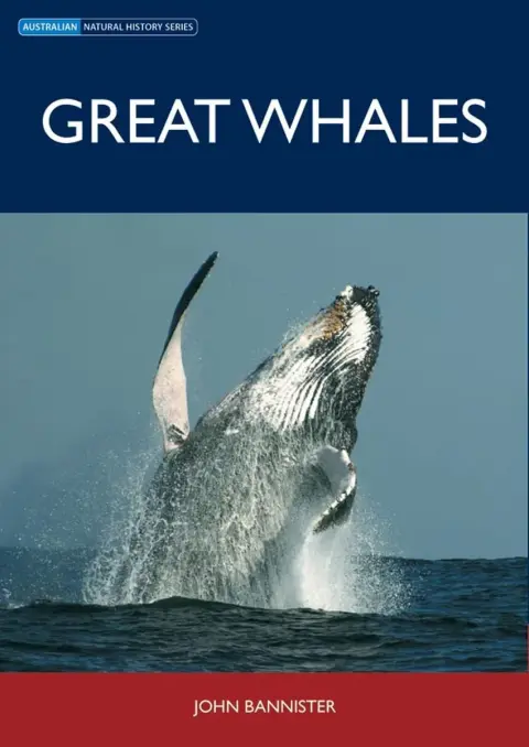 Cover of Great Whales