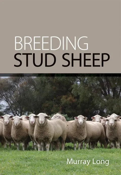 Cover of Breeding Stud Sheep