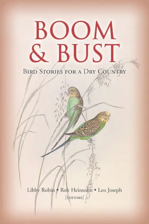 Cover of Boom & Bust