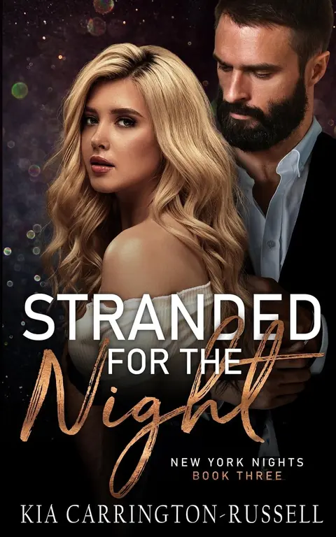 Cover of Stranded for the Night