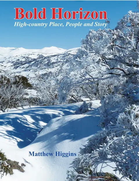 Cover of Bold Horizon