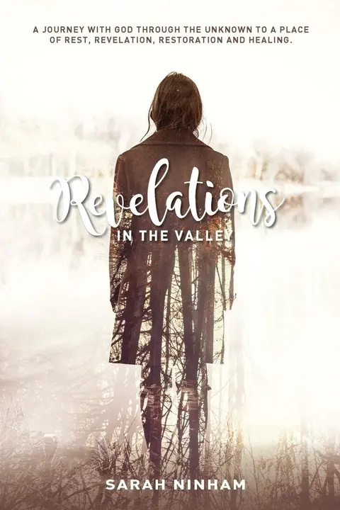 Cover of Revelations in the Valley