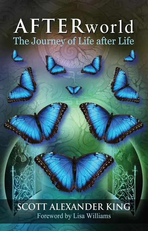 Cover of Afterworld