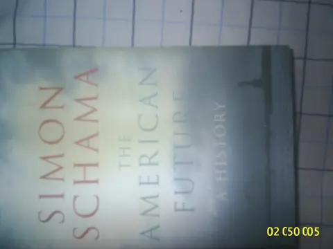 Cover of The American Future