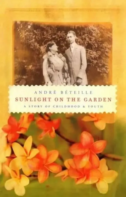 Cover of Sunlight on the Garden