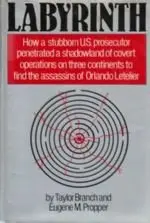 Cover of Labyrinth