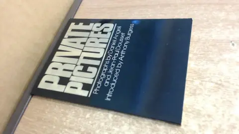 Cover of Private Pictures