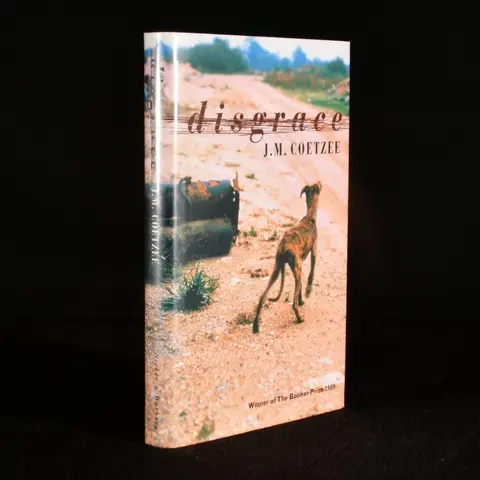 Cover of Disgrace
