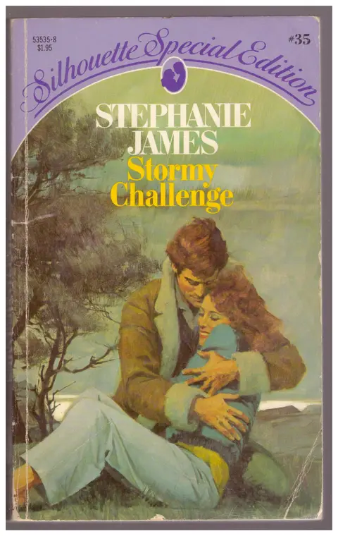 Cover of Stormy Challenge