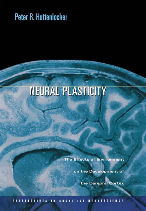 Cover of Neural Plasticity