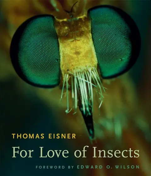 Cover of For Love of Insects