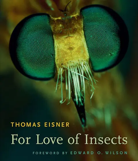 Cover of For Love of Insects