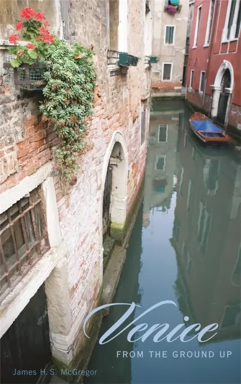 Cover of Venice from the Ground up