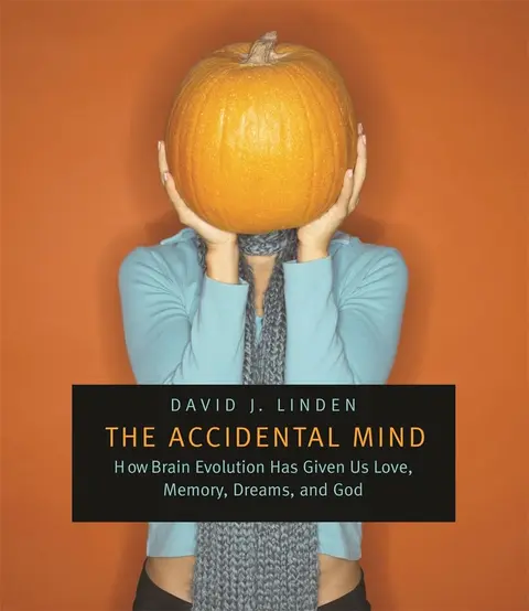 Cover of The Accidental Mind – How Brain Evolution Has Given Us Love, Memory, Dreams and God