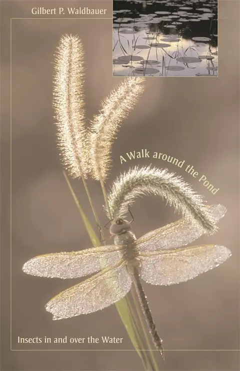 Cover of Walk around the Pond