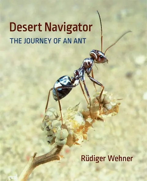 Cover of Desert Navigator