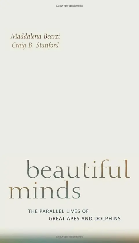 Cover of Beautiful Minds