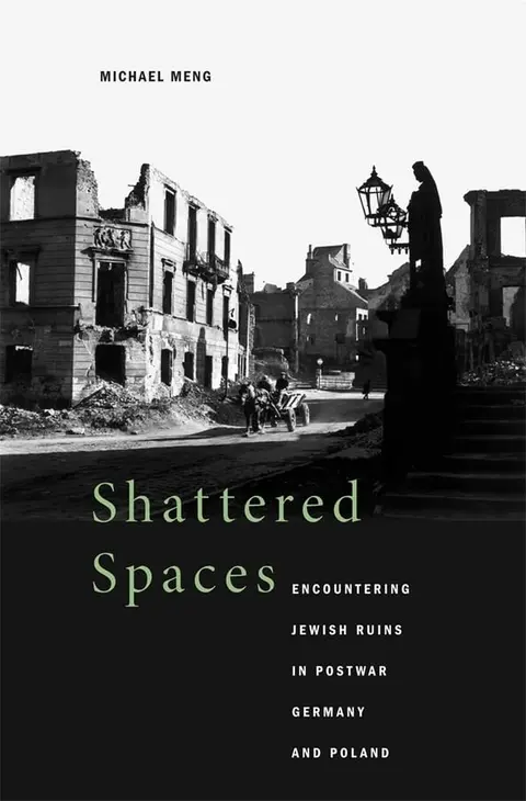 Cover of Shattered Spaces