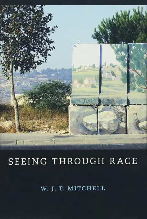 Cover of Seeing Through Race