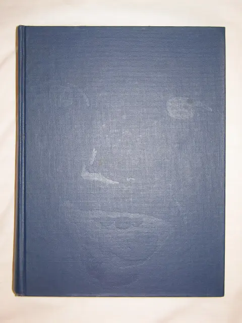 Cover of Brown