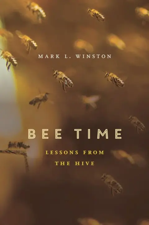 Cover of Bee Time