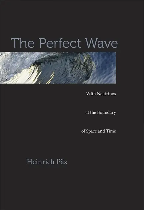 Cover of The Perfect Wave
