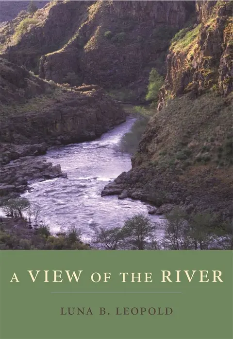 Cover of A View of the River