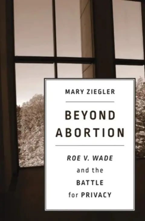 Cover of Beyond Abortion