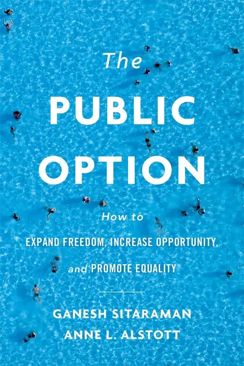 Cover of The Public Option