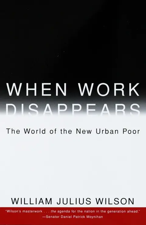 Cover of When Work Disappears