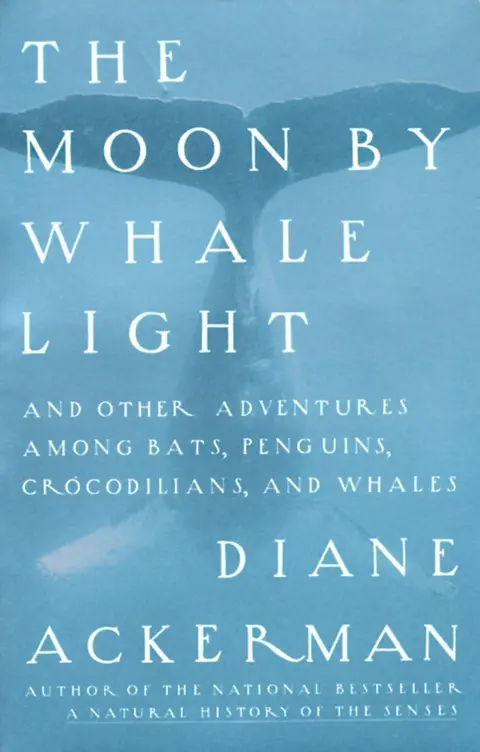 Cover of The Moon by Whale Light