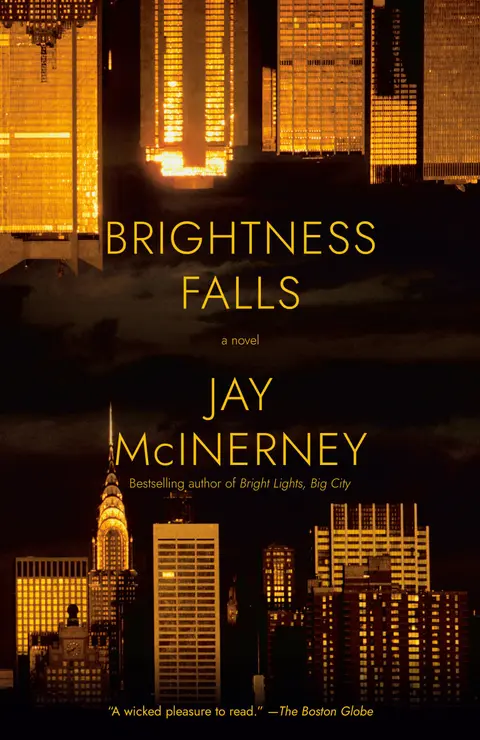 Cover of Brightness Falls