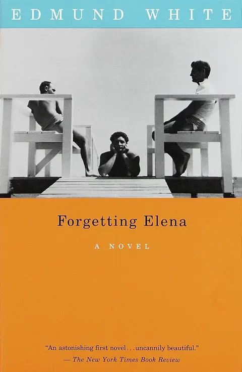 Cover of Forgetting Elena