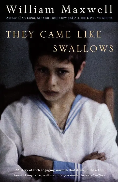 Cover of They Came Like Swallows