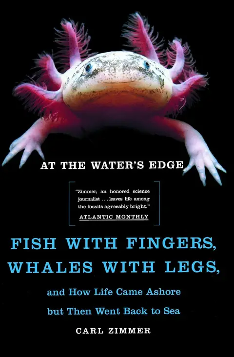 Cover of At the Water's Edge