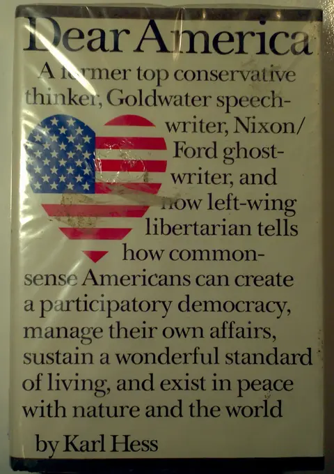 Cover of Dear America
