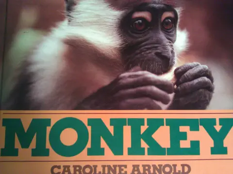 Cover of Monkey