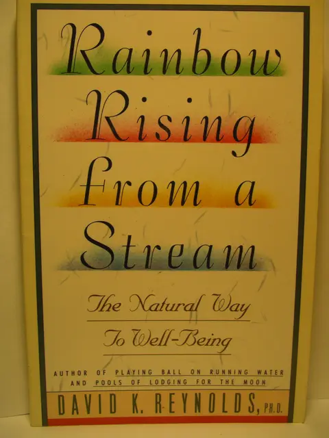 Cover of Rainbow Rising from a Stream